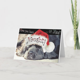 Cartes Pour Fêtes Annuelles Fille