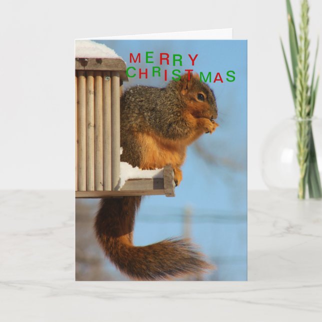 Cartes Pour Fêtes Annuelles Fin d'écureuil de queue de Fox (Devant)
