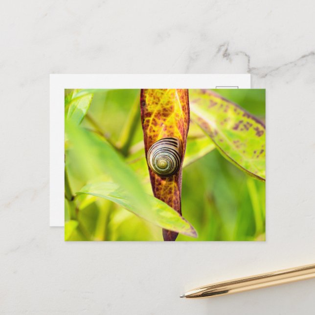 Cartes Pour Fêtes Annuelles fixation calme (Devant/Arrière en situation)