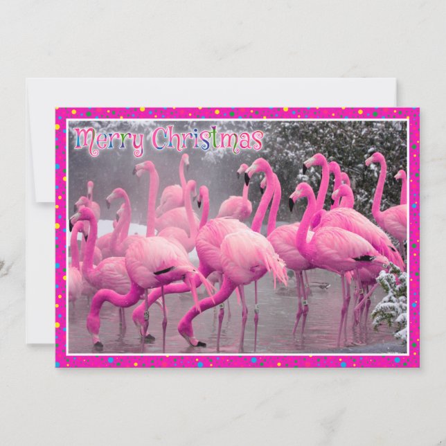 Cartes Pour Fêtes Annuelles Flamants roses roses dans la neige Joyeux Noël (Devant)