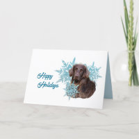 Flat Coat Retriever dans les flocons de neige