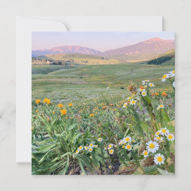 Cartes Pour Fêtes Annuelles Flat Holiday Card (Devant)