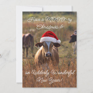 Cartes Pour Fêtes Annuelles Flat Holiday Card