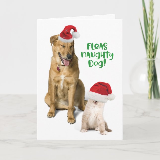 Cartes Pour Fêtes Annuelles Fleas Naughty Dog Funny Christmas Dog and Cat (Devant)