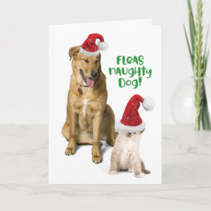 Cartes Pour Fêtes Annuelles Fleas Naughty Dog Funny Christmas Dog with Cat