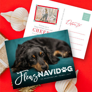 Cartes Pour Fêtes Annuelles Fleas Navidog Empreinte de patte Amoureux des chie
