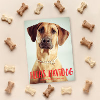 Fleas Navidog mignon chien drôle | Photo de vacanc