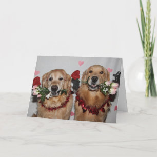 Cartes Pour Fêtes Annuelles Flèches de Valentine de golden retriever de
