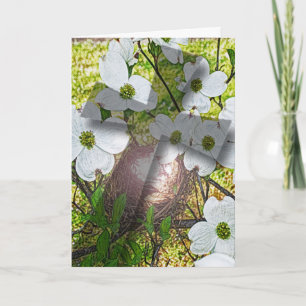 Cartes Pour Fêtes Annuelles Fleur de bois de chien et salut d'ombre croisée