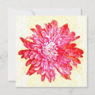 Cartes Pour Fêtes Annuelles Fleur de chrysanthème rose vibre
