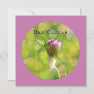 Cartes Pour Fêtes Annuelles Fleur de Clocher rouge sur Magenta