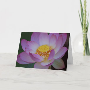Cartes Pour Fêtes Annuelles Fleur de Lotus et sa signification