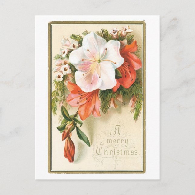 Cartes Pour Fêtes Annuelles Fleur de Noël joyeuse (Devant)