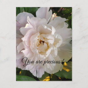 Cartes Pour Fêtes Annuelles fleur de pivoine
