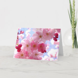 Cartes Pour Fêtes Annuelles Fleur de printemps rose