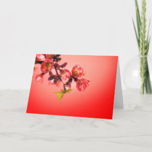 Cartes Pour Fêtes Annuelles Fleur de printemps sur fond rouge