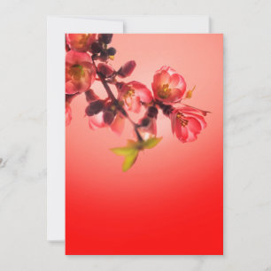 Cartes Pour Fêtes Annuelles Fleur de printemps sur fond rouge