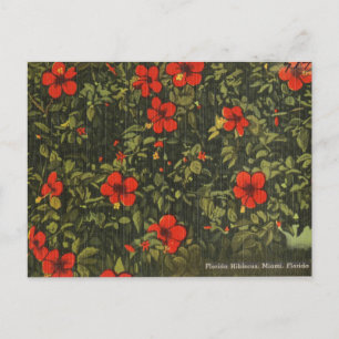 Cartes Pour Fêtes Annuelles Fleur d'Hibiscus Rouge Vintage Miami