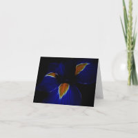 Fleur d'iris - la France et signification