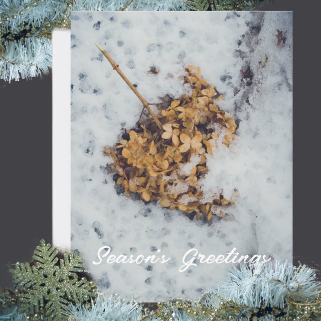 Cartes Pour Fêtes Annuelles Fleur Hortensia sur la neige (Créateur téléchargé)