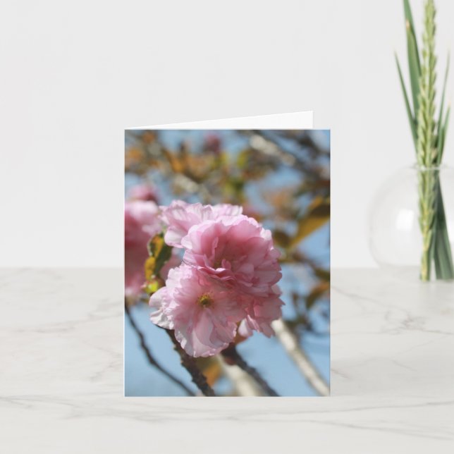 Cartes Pour Fêtes Annuelles Fleur rose fleurit  (Devant)