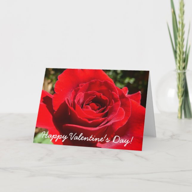 Cartes Pour Fêtes Annuelles Fleur rose rouge vif Belle florale (Devant)