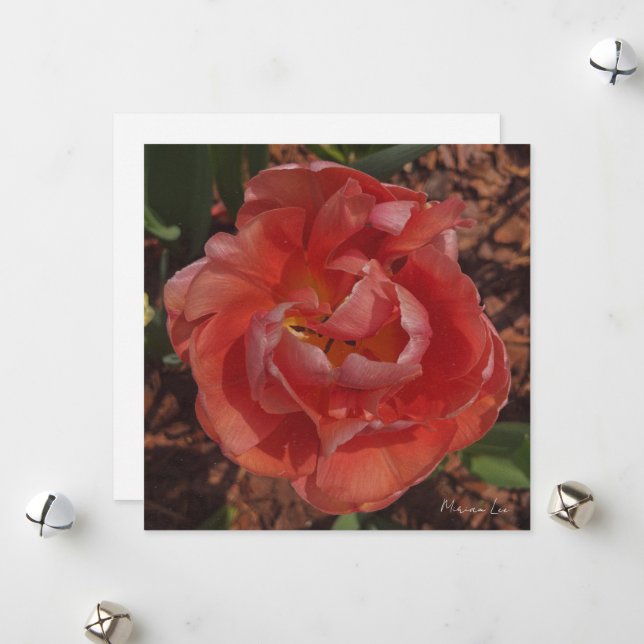 Cartes Pour Fêtes Annuelles fleur rouge  (Devant/Arrière en situation)