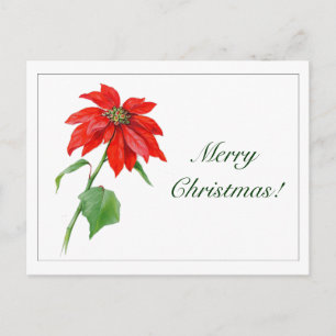Cartes Pour Fêtes Annuelles Fleur rouge de poinsettia de Noël vintage