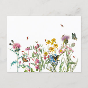 Cartes Pour Fêtes Annuelles Fleur sauvage d'aquarelle Insectes Floral Spring G