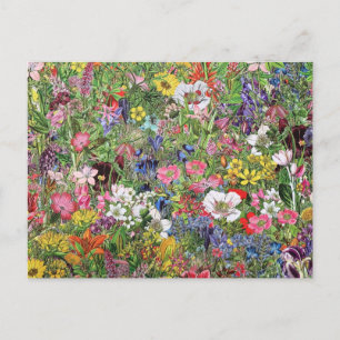 Cartes Pour Fêtes Annuelles Fleur sauvage de la nature en fleurs botaniques