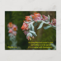 Fleur Succulent