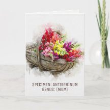 Fleurs aquarelles | Bouquet de la fête des Mères S