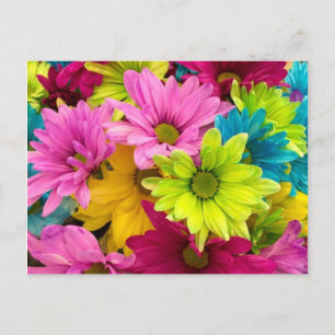 CARTES POUR FÊTES ANNUELLES FLEURS CLAIRES ET COLORÉES
