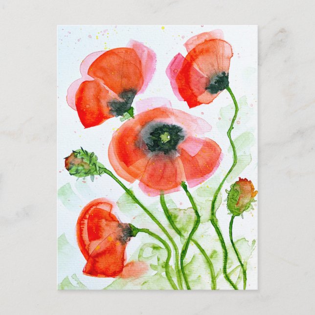 Cartes Pour Fêtes Annuelles Fleurs de coquelicot aquarelle en été (Devant)