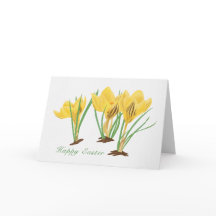 Fleurs de Crocus Jaunes Vibrantes Joyeuses Pâques