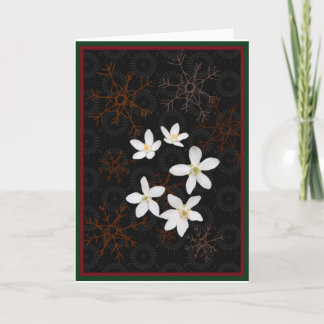 Cartes Pour Fêtes Annuelles Fleurs de neige et fleurs blanches de Noël