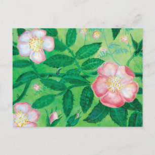Cartes Pour Fêtes Annuelles Fleurs de rose sauvage   