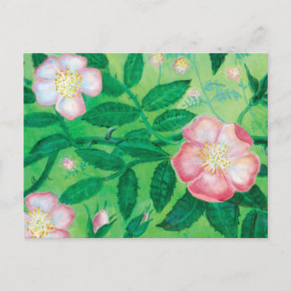 Cartes Pour Fêtes Annuelles Fleurs de rose sauvage   