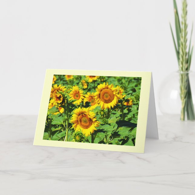 Cartes Pour Fêtes Annuelles Fleurs de soleil (Devant)