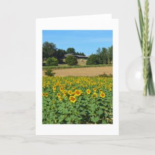 Cartes Pour Fêtes Annuelles Fleurs de soleil en France