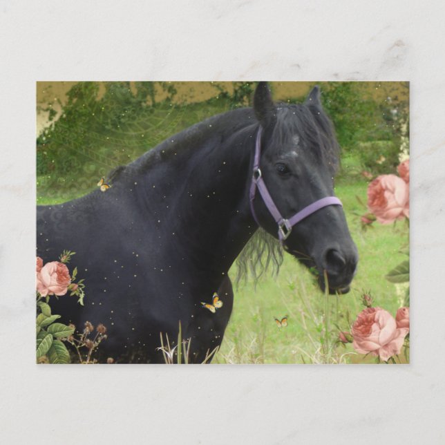 Cartes Pour Fêtes Annuelles Fleurs d'été (Devant)