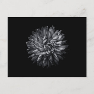 Cartes Pour Fêtes Annuelles Fleurs jardins En Noir Et Blanc 20
