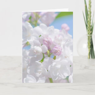 Cartes Pour Fêtes Annuelles Fleurs Lilac