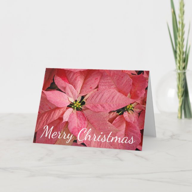 Cartes Pour Fêtes Annuelles Fleurs rouges de poinsettia de Noël (Devant)