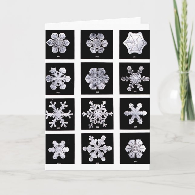 Cartes Pour Fêtes Annuelles Flocon de neige (Devant)