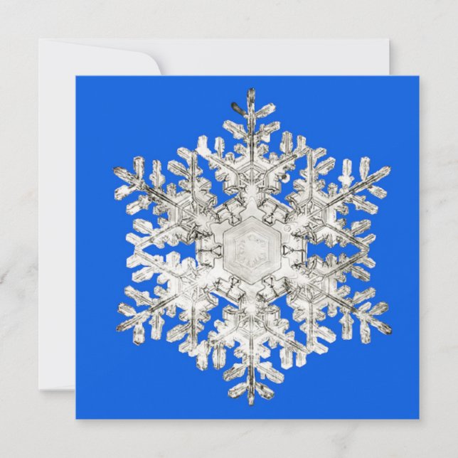 Cartes Pour Fêtes Annuelles Flocon de Neige Bleu Brillance de la Perfection de (Devant)