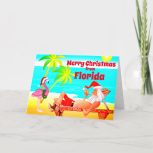 Cartes Pour Fêtes Annuelles Floride Joyeux Noël Père Noël et Flamant rose Beac