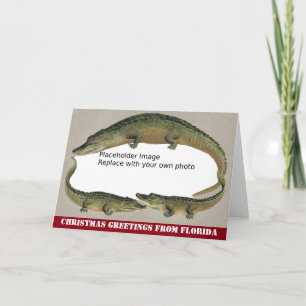 Cartes Pour Fêtes Annuelles Floride Vintage Alligator Frame