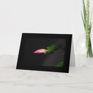 Cartes Pour Fêtes Annuelles Flower Cactus Christmas Bloom