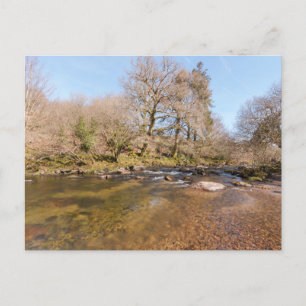Cartes Pour Fêtes Annuelles Flower West Dart River avec le ciel de printemps v